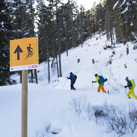 � Land Tirol Skitouren- und Freeridelenkung in 22 Tiroler Gebieten