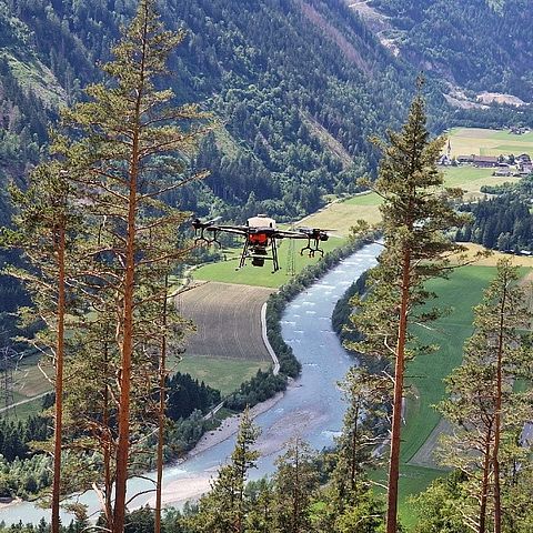 Drohne fliegt durch Wald