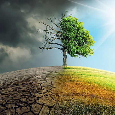 Nachhaltigkeits- und Klimakoordination
