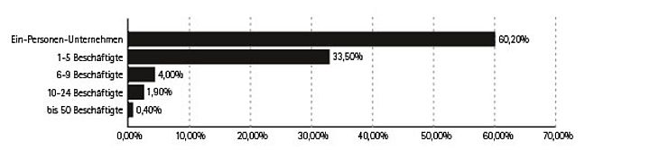 Beschäftigungsstruktur der Unternehmen