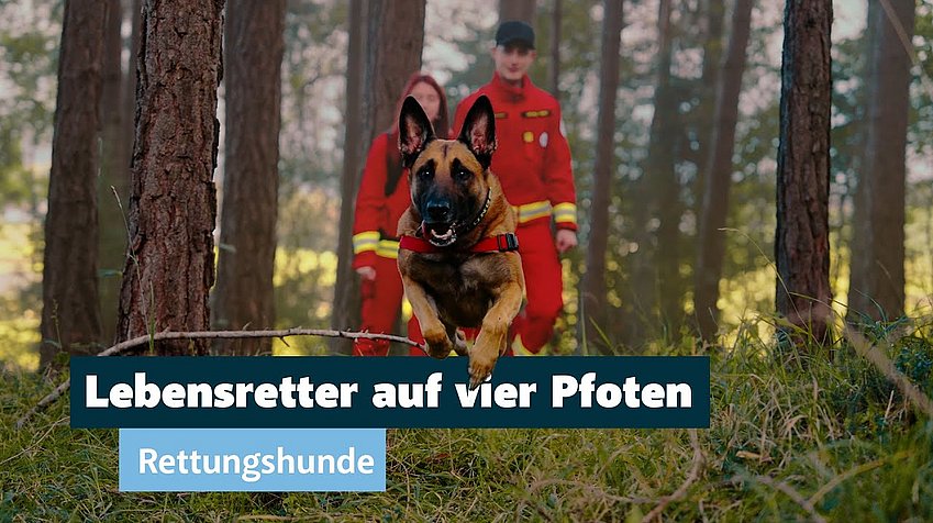 Land Tirol/Christanell Rettungshundebrigade Tirol - Sicher in Tirol geht nur mit dir!