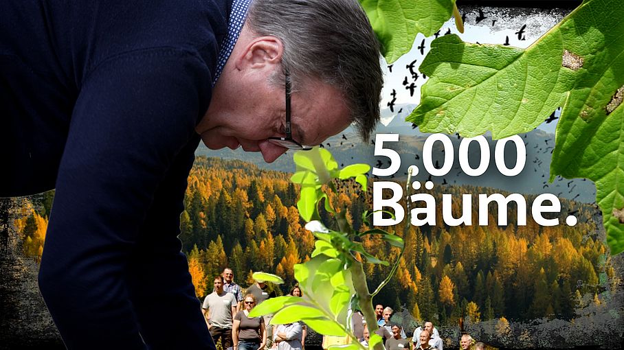 5.000 Bäume in der Arge Alp