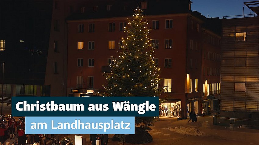 Land Tirol/Järvinen Der Christbaum am Landhausplatz