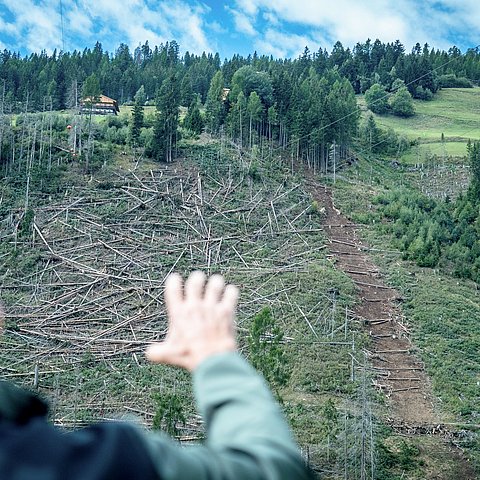 � Land Tirol/Hörmann Schutzschild Wald: Tirols natürliche Sicherheitsinfrastruktur