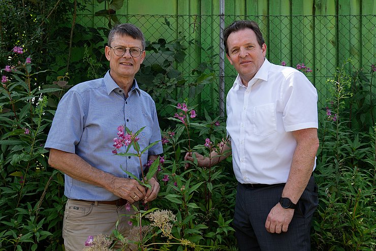 Öfner und Zumtobel mit lila Pflanzen