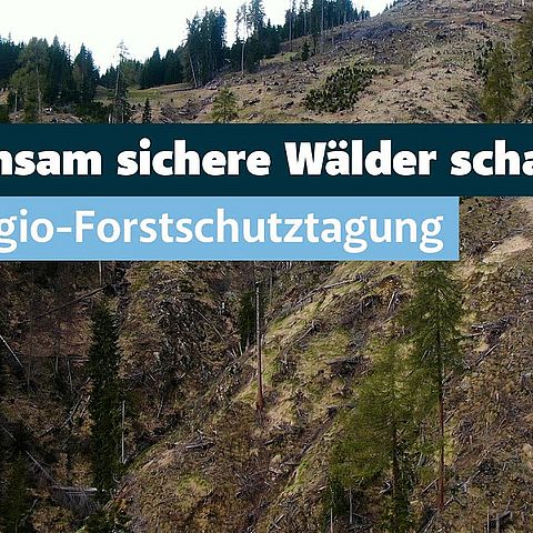 Euregio Forstschutztagung in Obertilliach: gemeinsam für klimafitte Wälder.