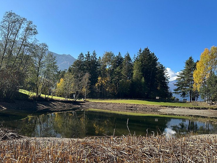 Landschaftsbild