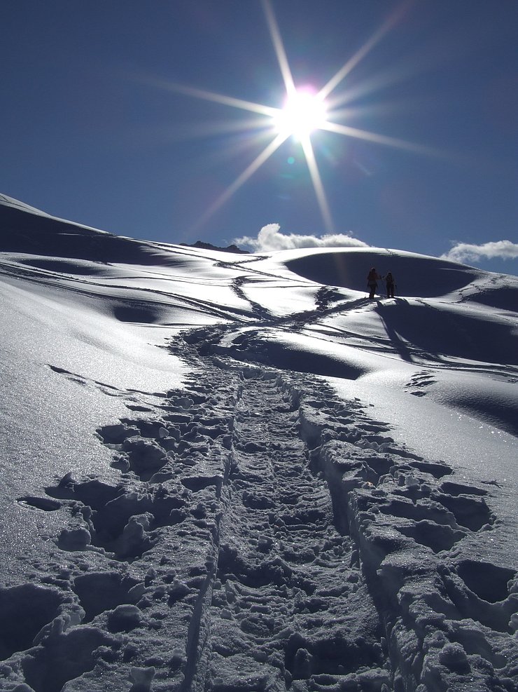 Skispuren im Tiefschnee