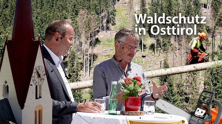 Borkenkäfer | Maßnahmen in Osttirol