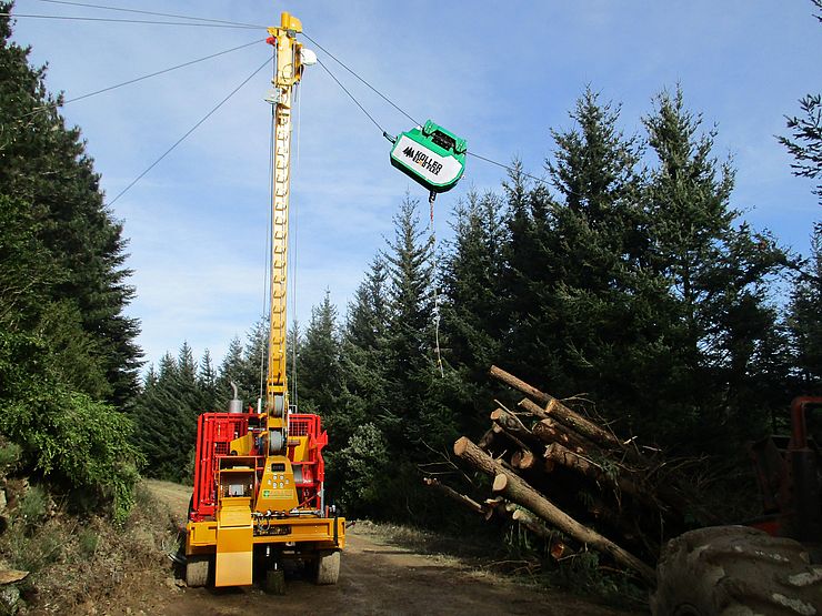Wichtiger Beitrag zur alpinen Schutzwaldbewirtschaftung: Holzbringung im steilen Gelände.