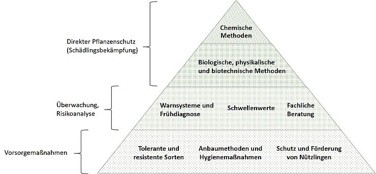 Pflanzenschutzpyramide - Vorsorge, Überwachung und Schädlingsbekämpfung