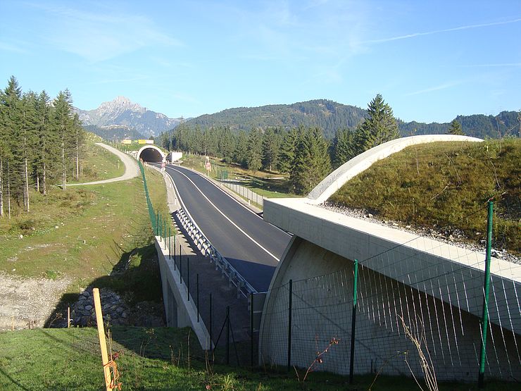 Tunnel Achseljoch - Blickrichtung Wannenbachtunnel