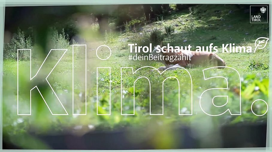 Tirol schaut aufs Klima. | Klimawandelanpassung