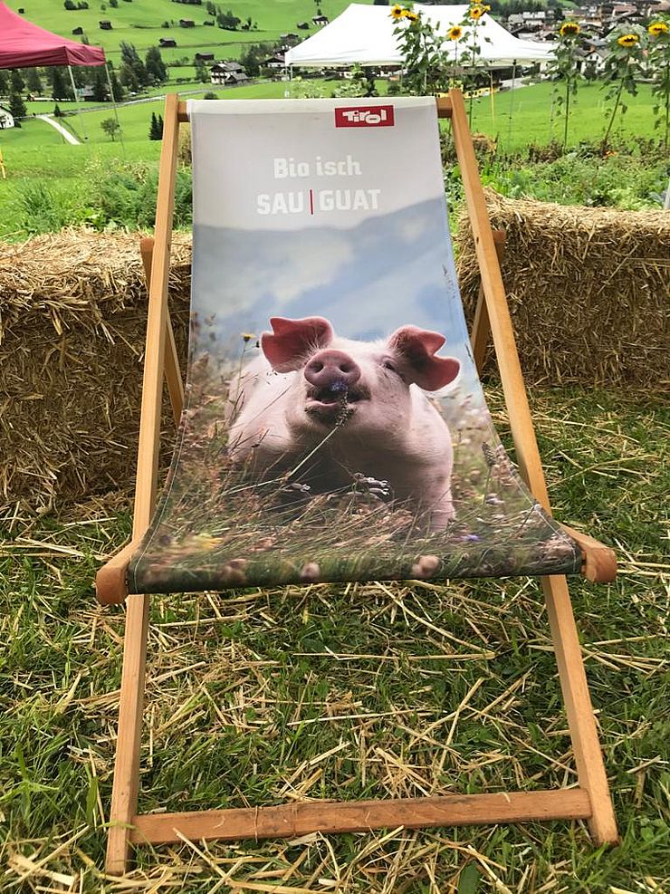 Liegestuhl mit Tirol Werbung Logo und Motiv (Schwein)