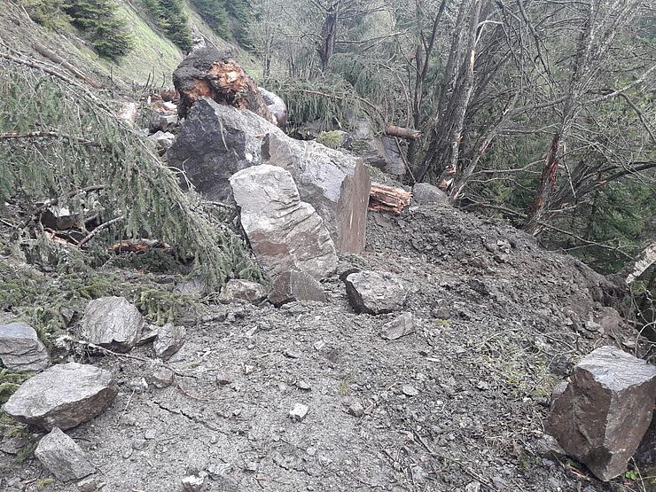Felsbrocken sind durch ein Waldgebiet über die Kühtai Straße bis zum Bachbett abgestürzt.