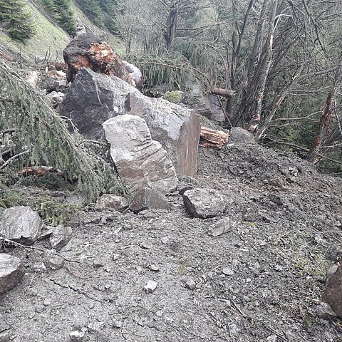 Felsbrocken sind durch ein Waldgebiet über die Kühtai Straße bis zum Bachbett abgestürzt.