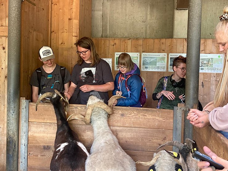 © Land Tirol Maria Koch Gruppenbild mit 4 Personen