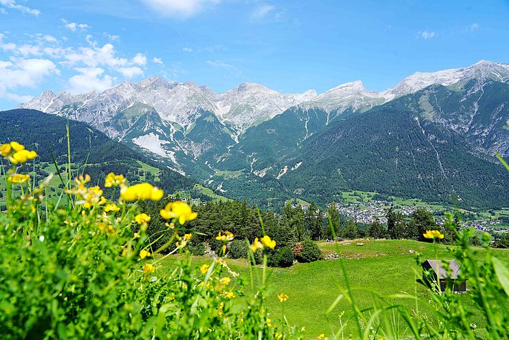 Landschaftsaufnahme: vorne grüne Wiese, dahinter Bergkette