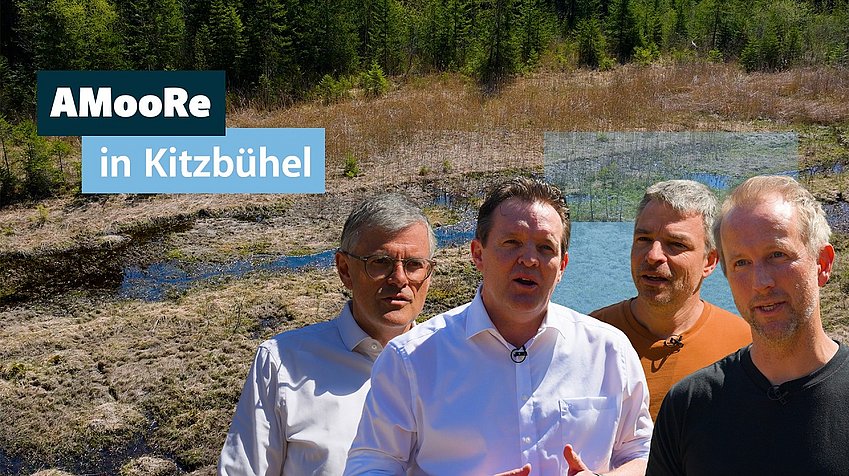 Land Tirol/Rauch Paradieswiese Kitzbühel | Moorrenaturierung