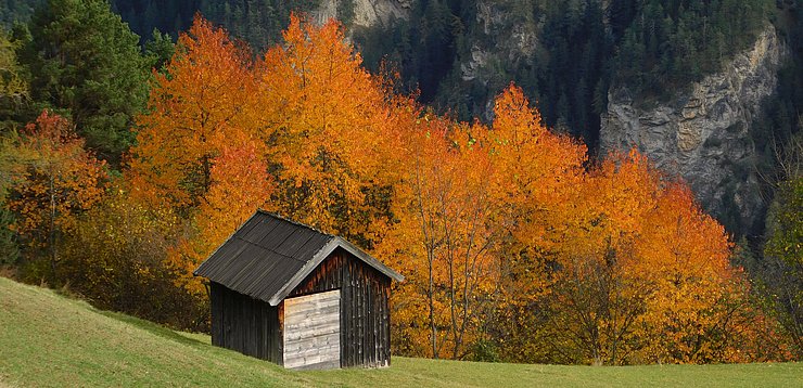 Stadel ober Platztali in Serfaus, im Hintergrund Steinbrückenwald