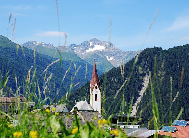 Blick durch Grashalme auf Dorf mit Kirchturm, dahinter Berg mit Schneefeldern