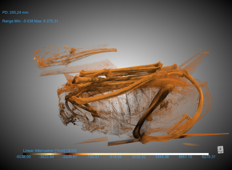 3D-Modell der Gletschermumie