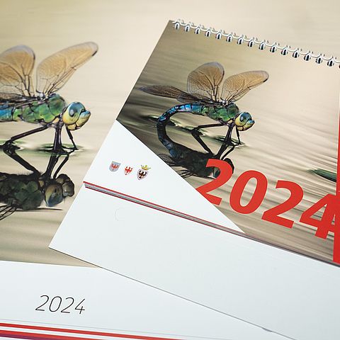 Reminder: Fotos für Euregio-Kalender 2025 einreichen