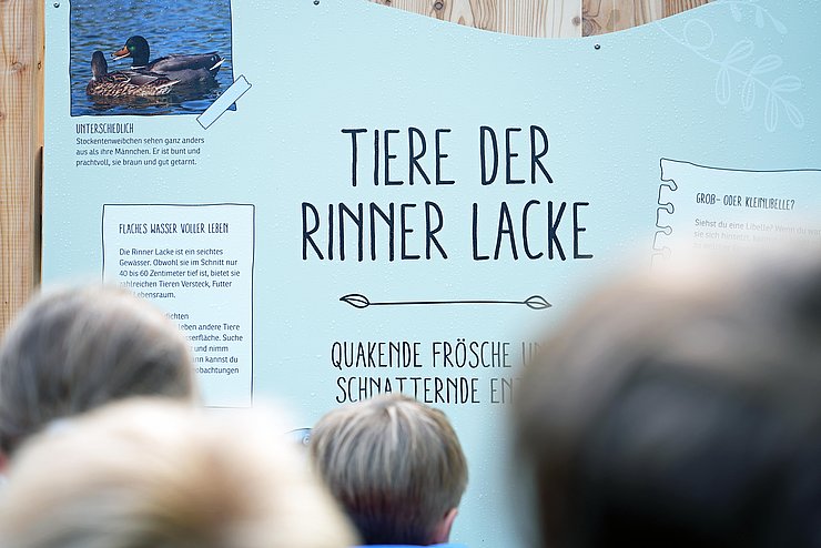 Blaue Tafel mit Aufschrift "Tiere der Rinner Lacke"