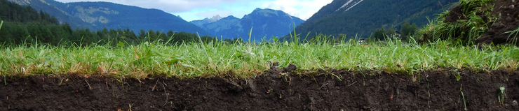 Bodenprofil des Bodentyps Rendzina auf Lechschotter im Grünland