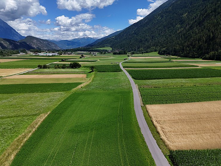 © Land Tirol/Andreas Danzl Äcker und Wiesen im Talboden bei Silz
