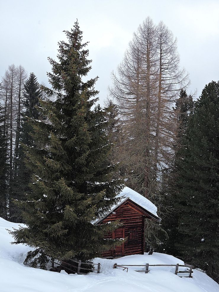 die kleine Söllberg Jagdhütte im Winter
