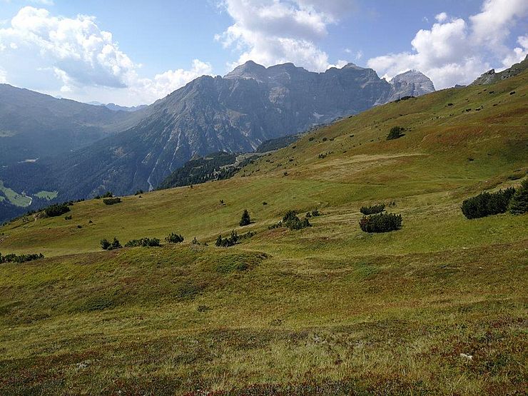 Obernberg: Alpine Kulturlandschaft - über Jahrhunderte gepflegt
