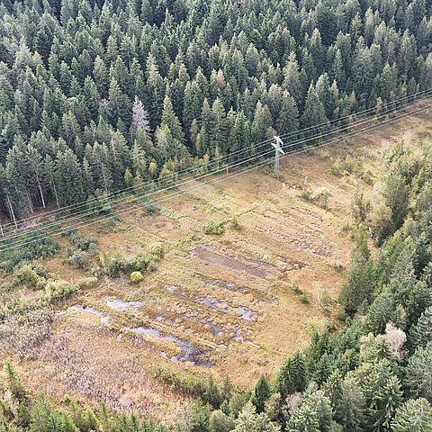 � Land Tirol Das Moor vor der Haustüre entdecken